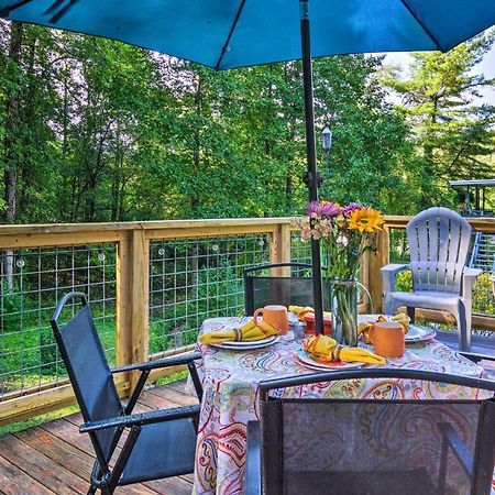 Shaw Creek Cottage With Fire Pit And Forest Views Hendersonville Buitenkant foto